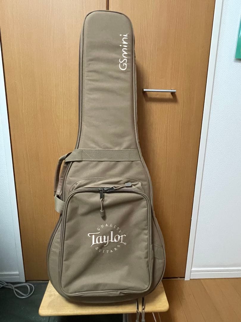 Taylor GS mini 専用ケース付き