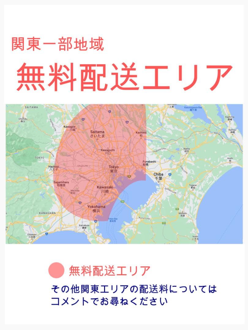 スーパーセール 最高峰バビー ヤマハ 子供乗せ電動アシスト自転車 ZH2981