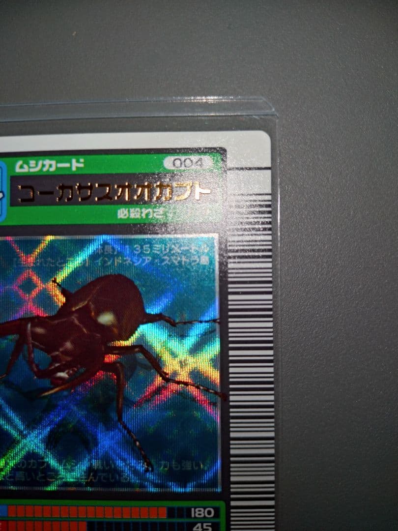 し*の様 2003春 コーカサスオオカブト 青キラ 極美品
