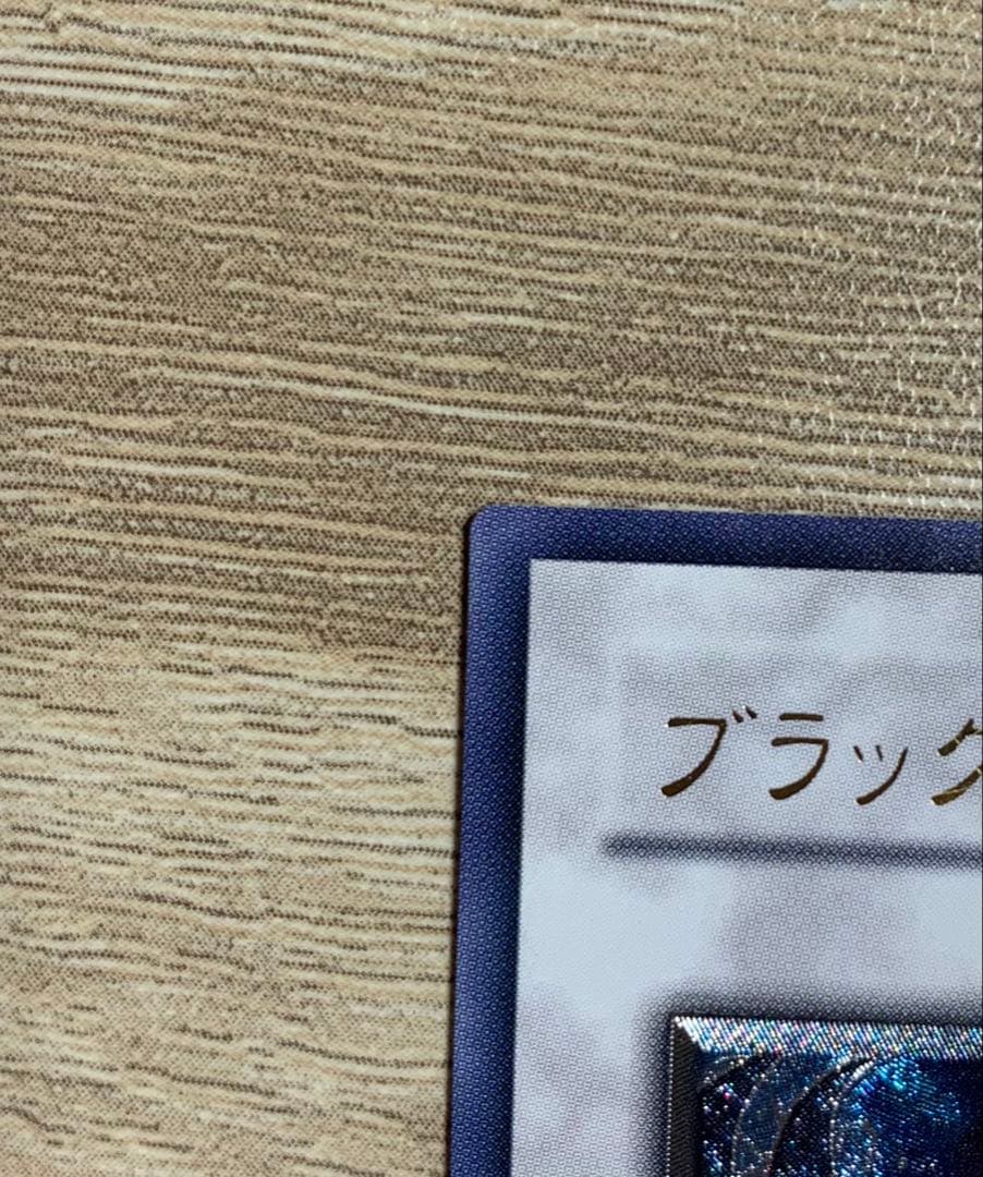 ブラックフェザードラゴン レリーフ 遊戯王
