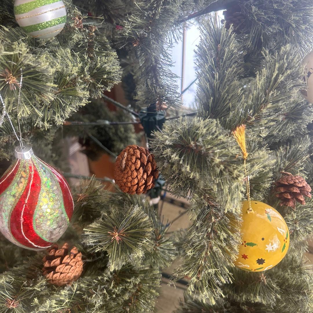 クリスマスツリー　スタジオクリップ