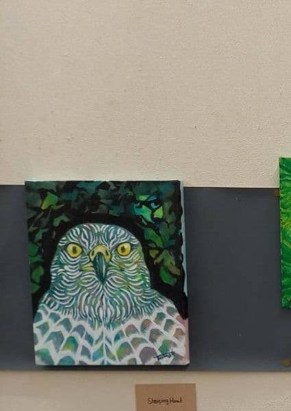 原画【 shaping Hawk 】アクリル水彩/絵画/アート/イラスト/猛禽類