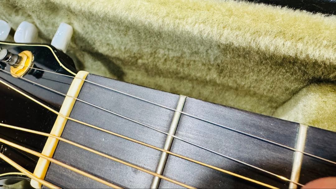 VG-08 全単板　廃盤　ハードケース付き（水曜日まで限定値下げ）