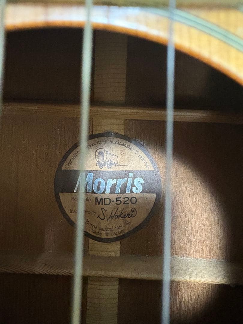 Morris MD-520 アコースティックギター
