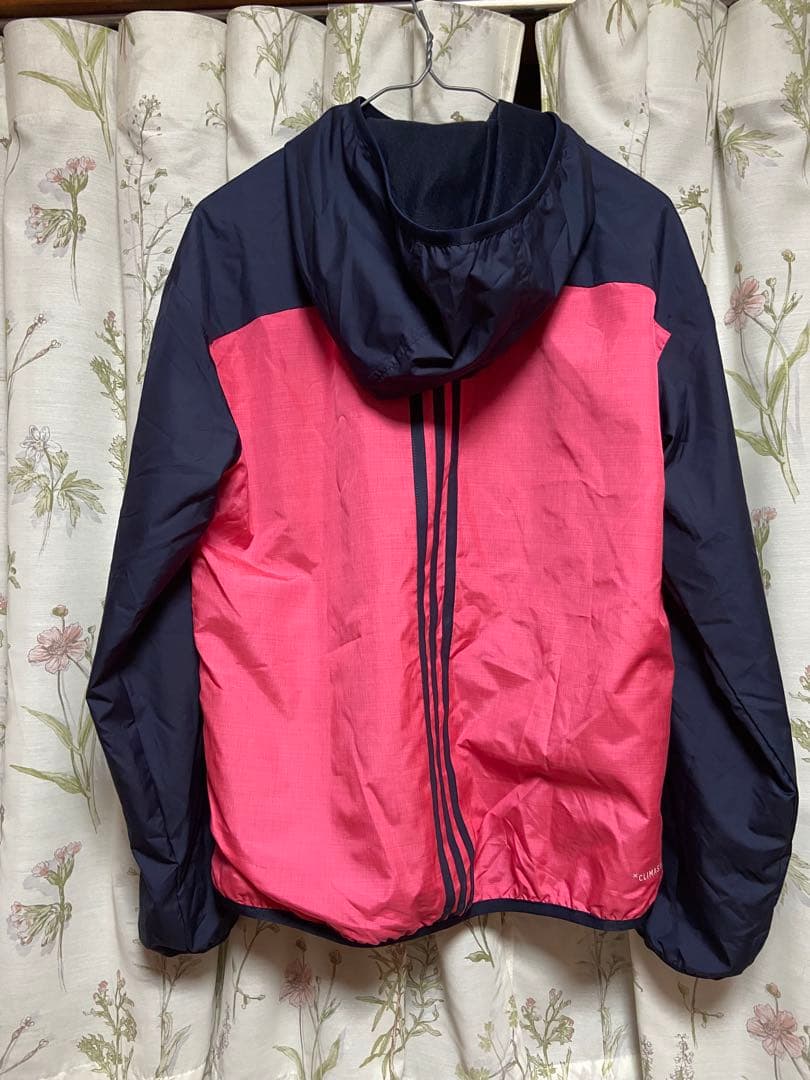 adidas✨️CLIMASTORM レディース 上下セット セットアップ ピンク