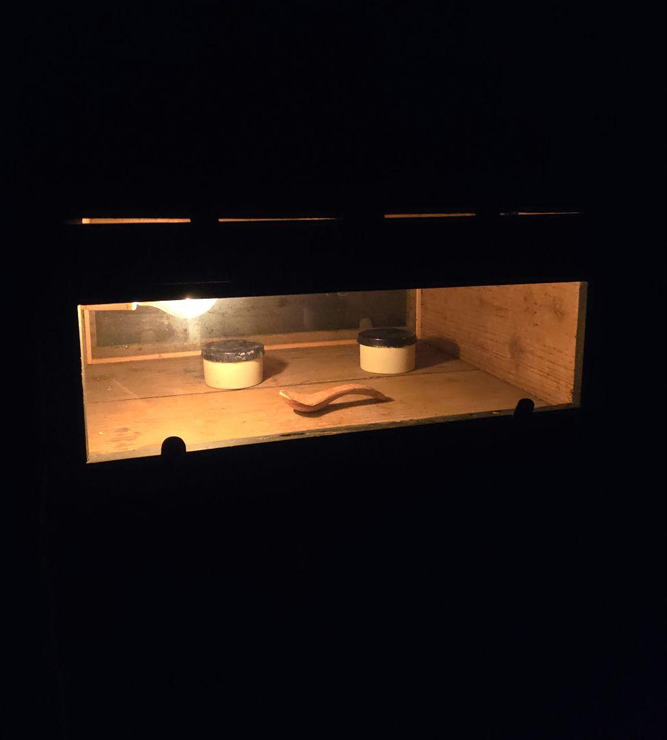 存在感抜群木製電球付き一面ガラスgケースショーケースインテリア店舗什器の一部に