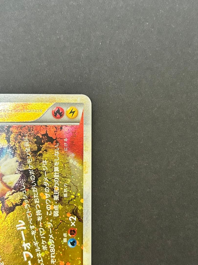 エンテイ&ライコウLEGEND 上下セット L2 美品