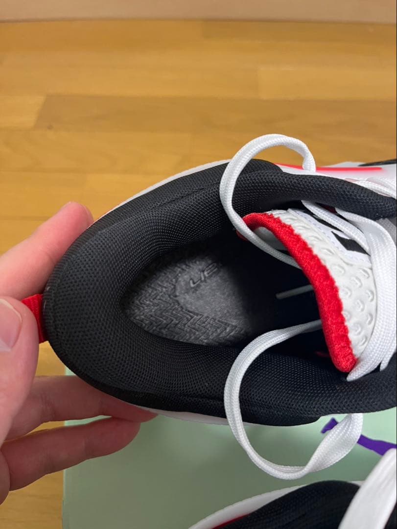 シューズ(男性用) JORDAN HEIR SERIES PF 10.5