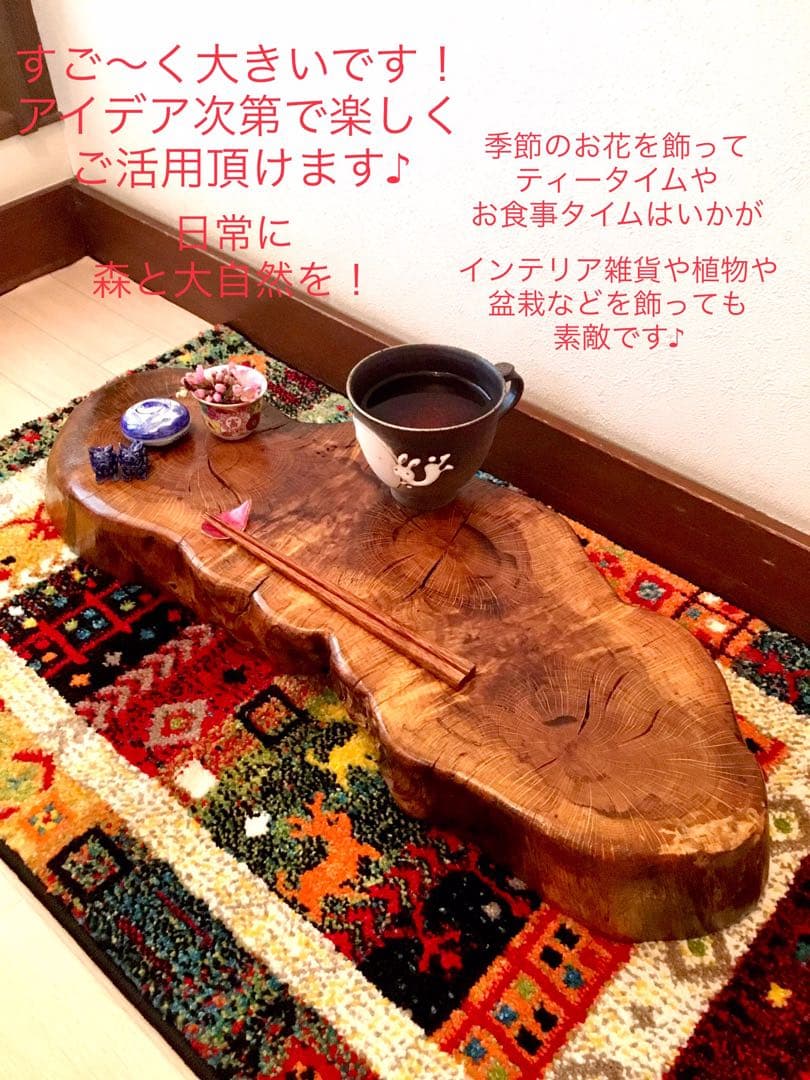天然楢【神秘的な合体樹＊3本の木が一体化/森と大自然の切り株テーブル】ちゃぶ台