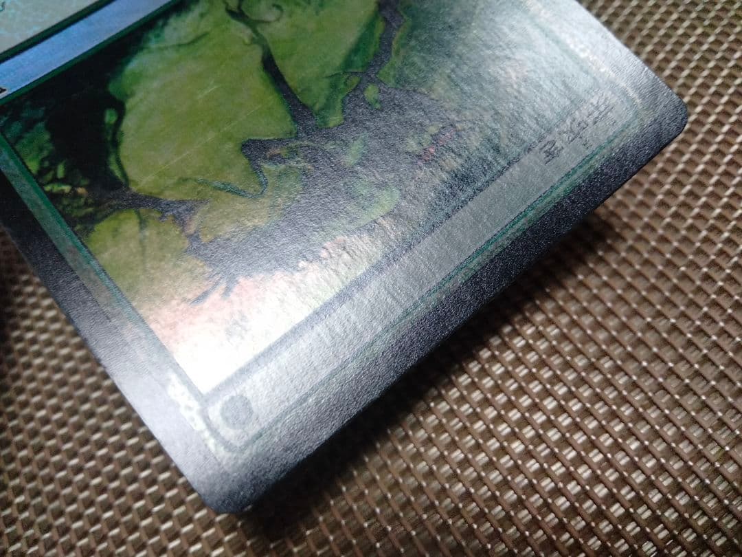 【ご確認用】時のらせん foil 芽吹きb 日本語 1枚　MTG