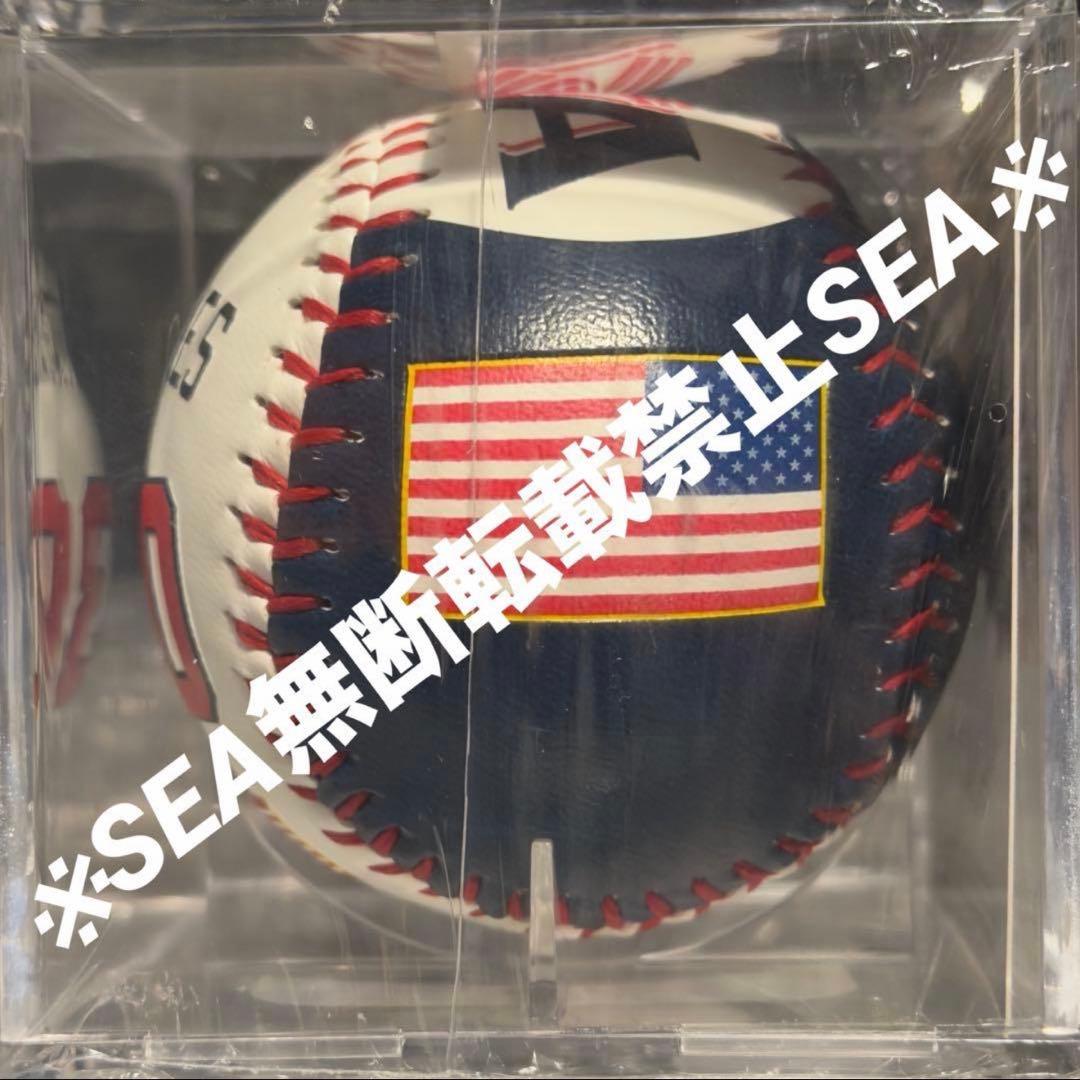 超激レア　WBC アメリカ代表 スキーンズ 記念ボール（No.25/30）即完売