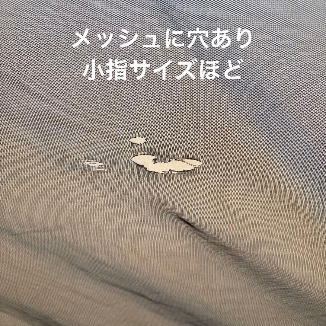 【送料込み】サバティカル　アルニカ