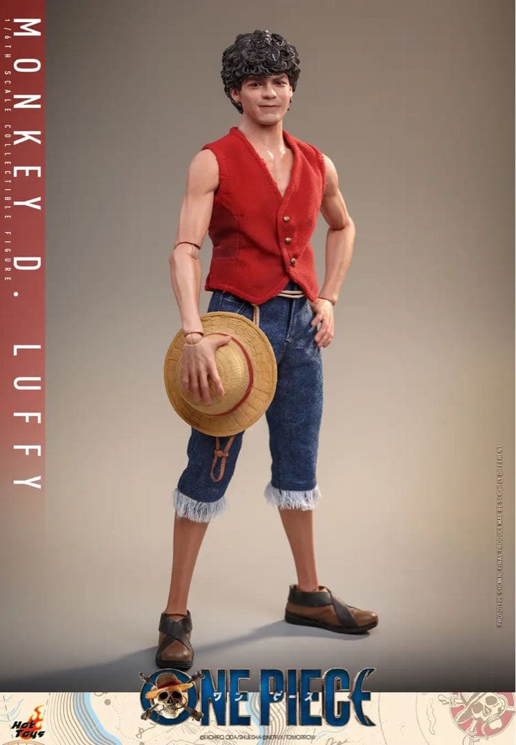 【新品未使用】ホットトイズ 1/6 モンキーDルフィ TMS109 ワンピース