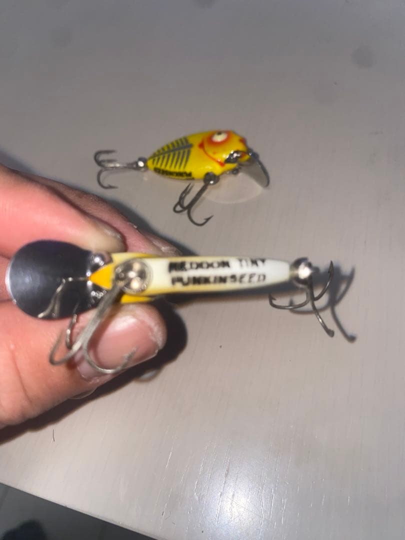 HEDDON TINY PUNKINSEEDヘドンパンキンシード２セット