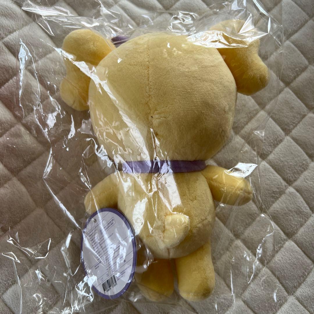 IVE minive レイ ２０センチぬいぐるみ　コスチューム　ナオリ　新品