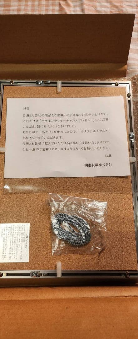 希少　ポケモン　明治乳業　　アートパネル　セル画　激レア