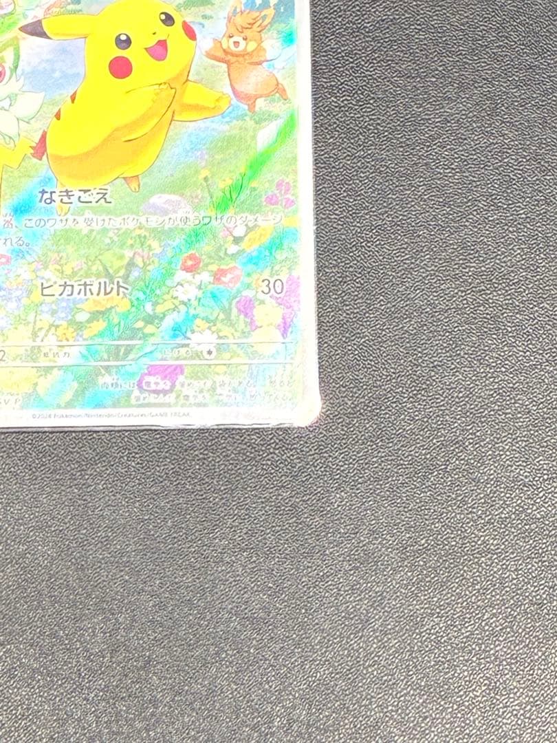 ピカチュウ2枚セット