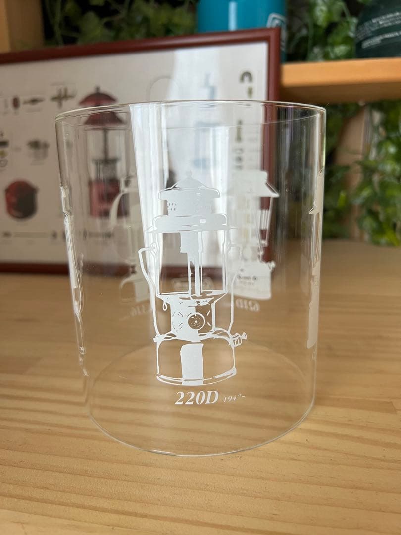 【新品　希少】コールマン　290リミテッドエディション専用グローブ