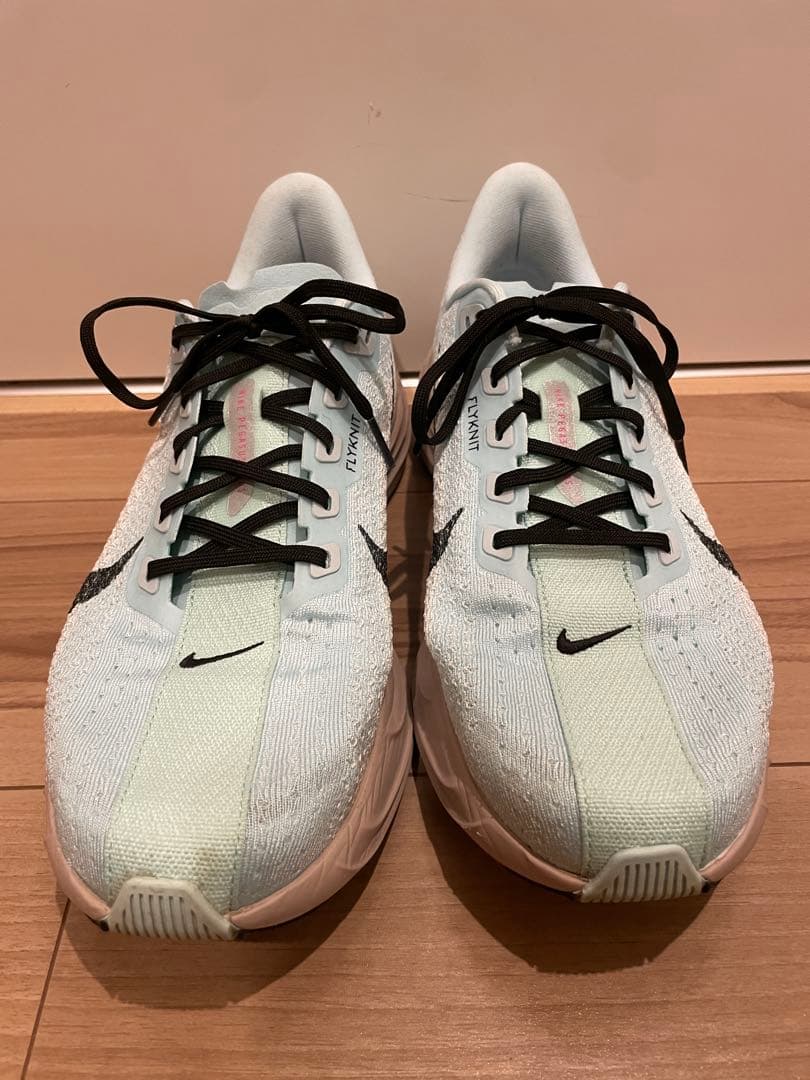 NIKE ペガサスプラス【28.0cm】美品