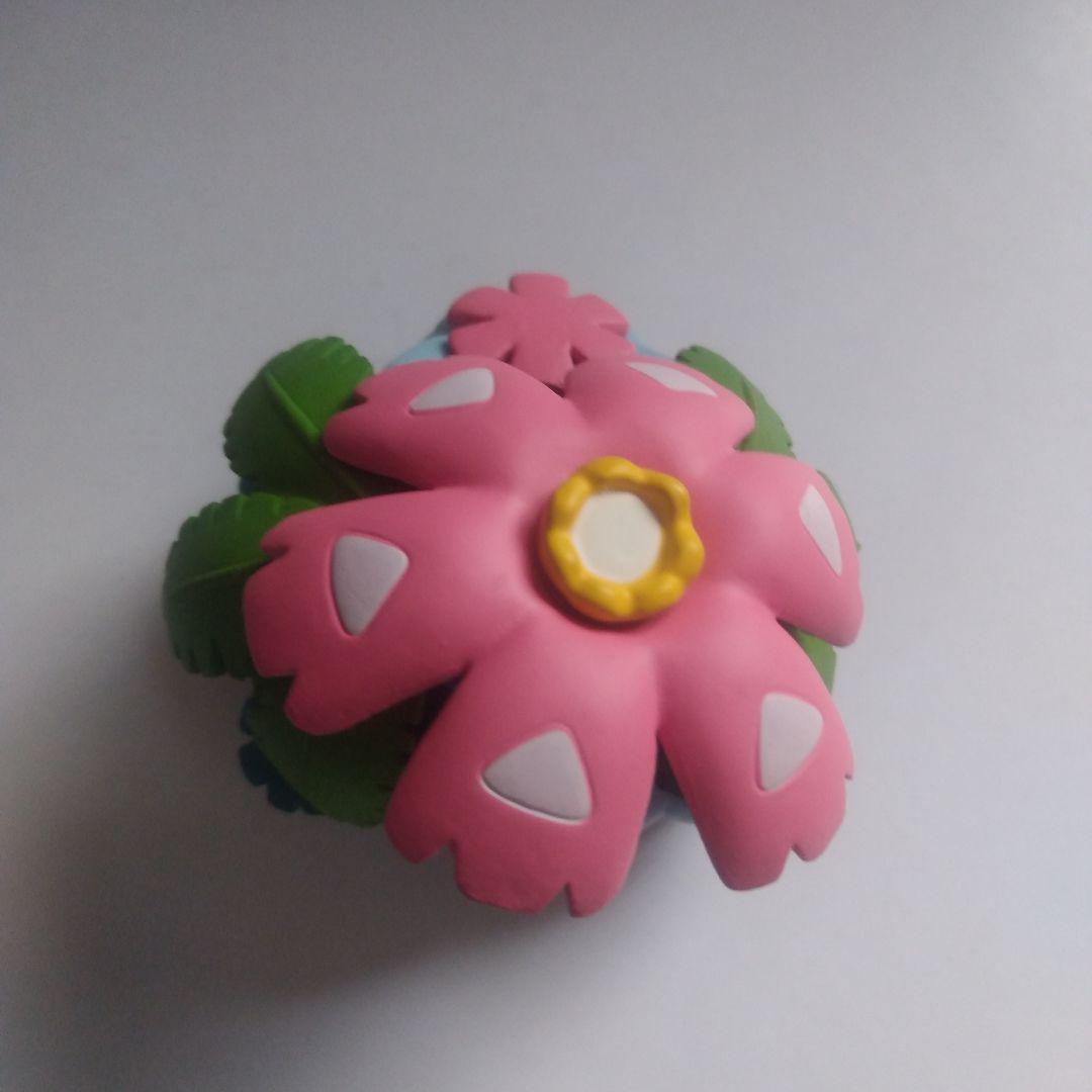 立体ポケモン図鑑　メガフシギバナ・メガカメックス　メガシンカ　スケールフィギュア