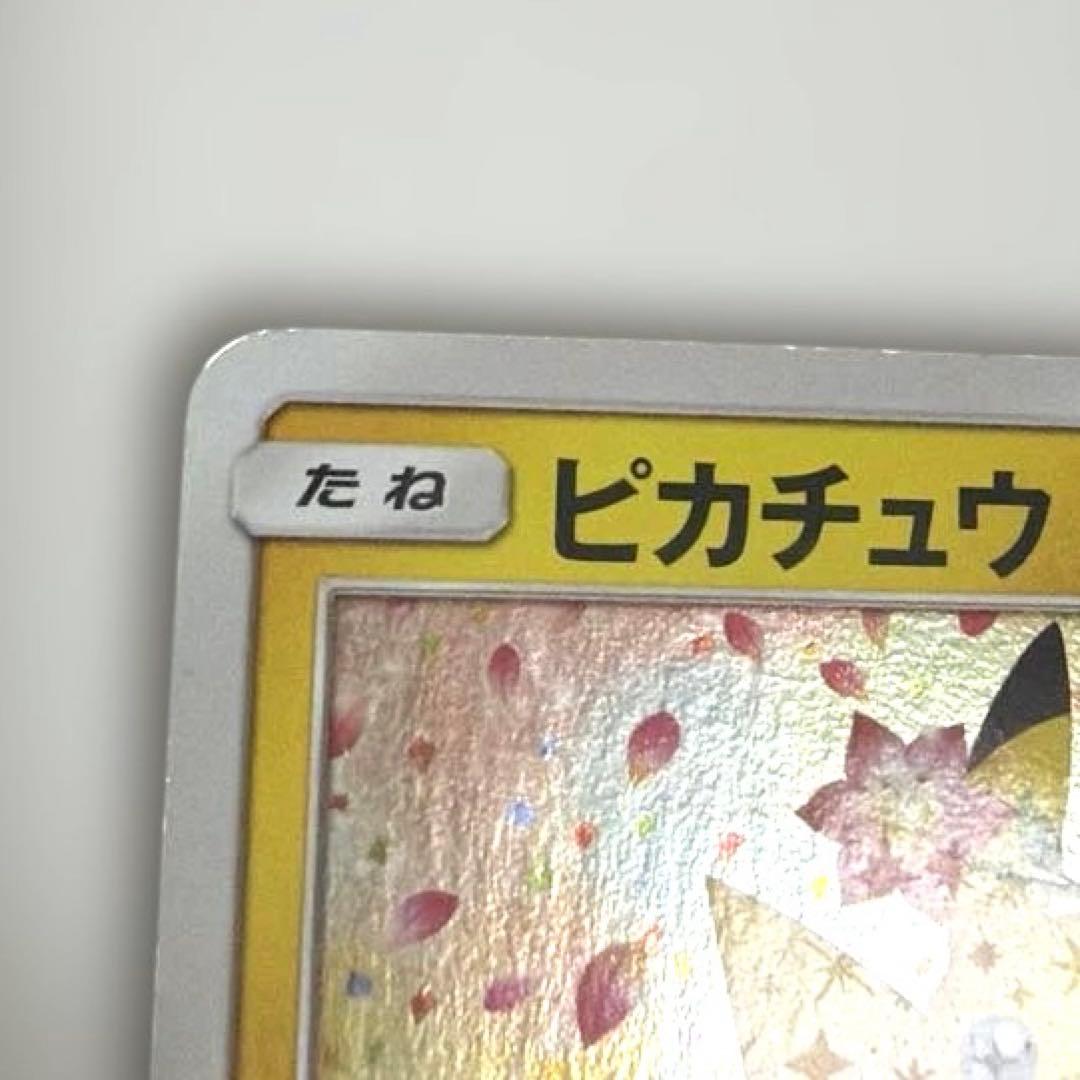 ポケモンカード ピカチュウ プロモ みんなでいわう 224/SM-P
