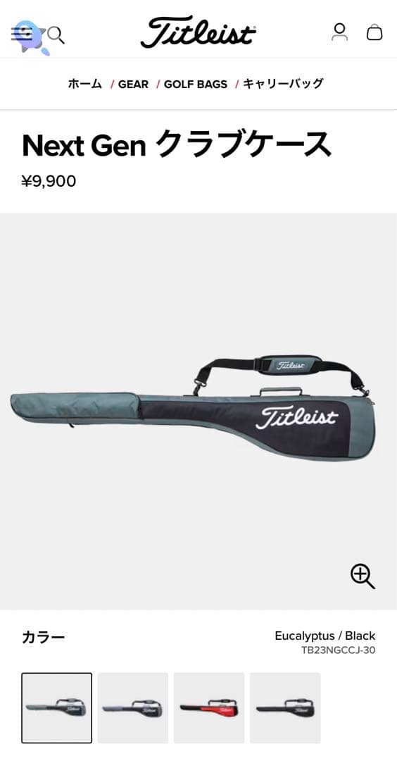 Titleist ゴルフバッグ 黒 グレー
