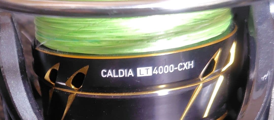 【DAIWA】CALDIA LT4000-CXH スピニングリール