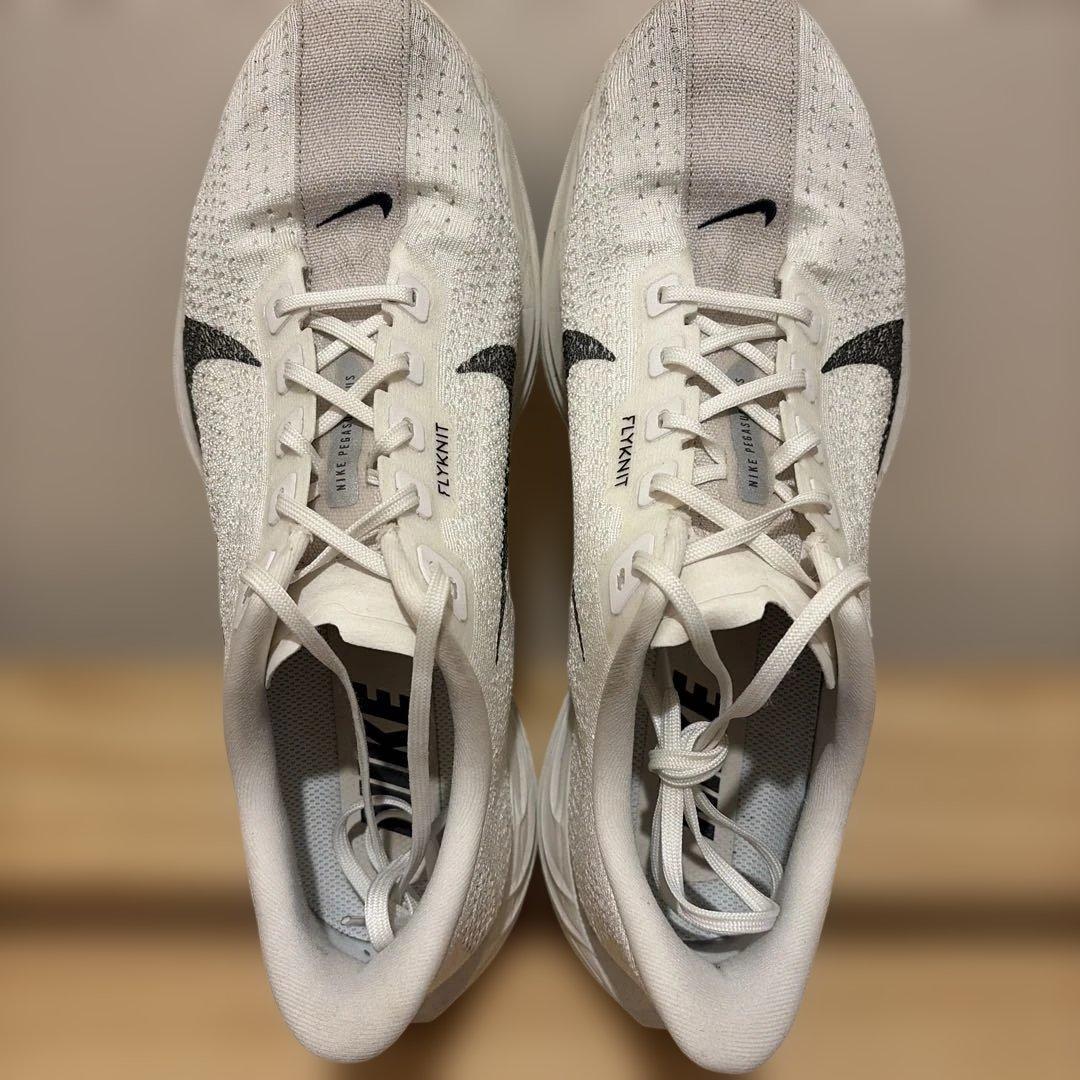 Y*a様 NIKE ペガサス プラス 28cm