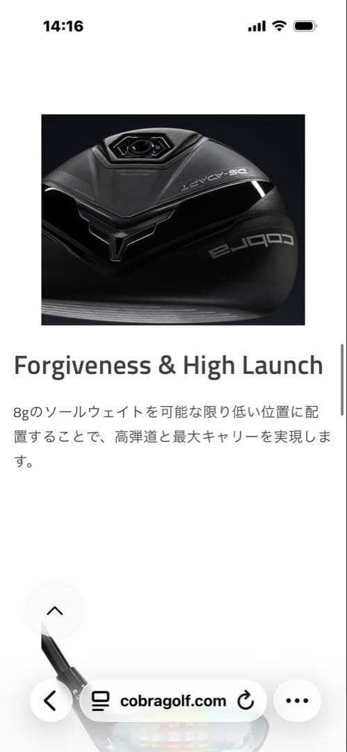 ds adapt ハイブリッド　LINQ フレックスS 4H&5Hセット