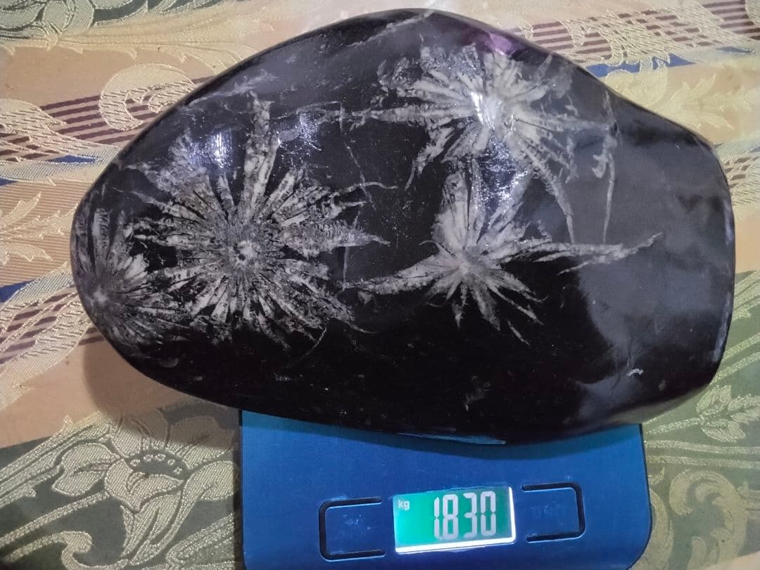 菊花石