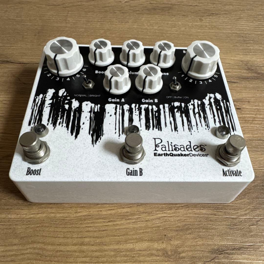 EarthQuaker Devices Palisades サイン入り