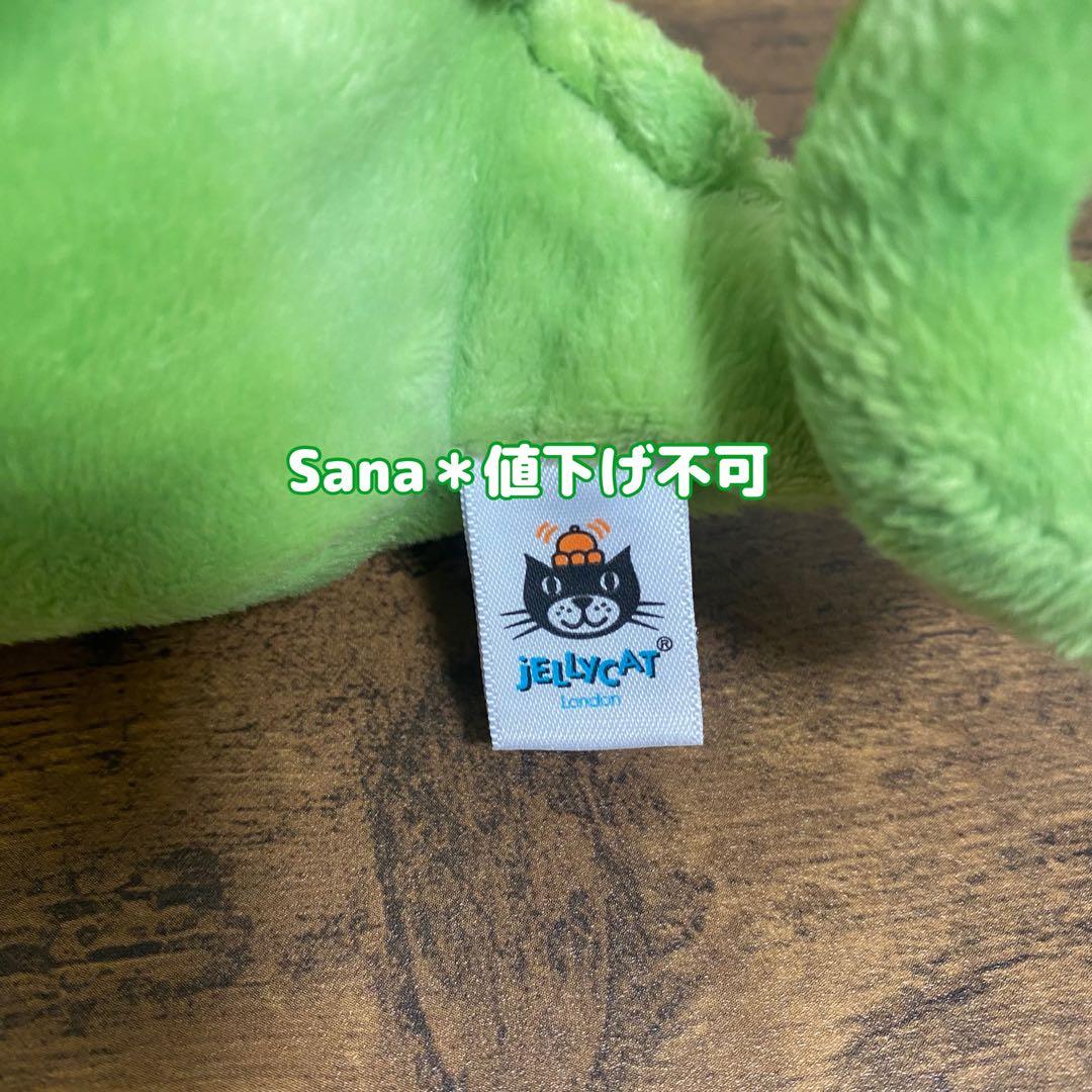 新品 Frankie Frilled-Neck Lizard