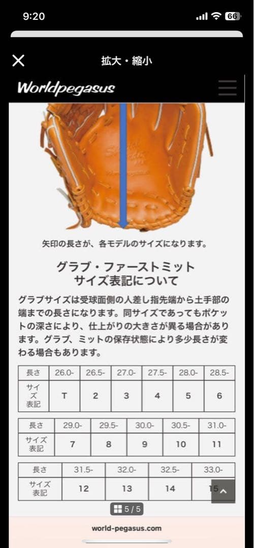 早い者勝ち　鬼値下　軟式野球グローブ ワールドペガサス　新品　未使用
