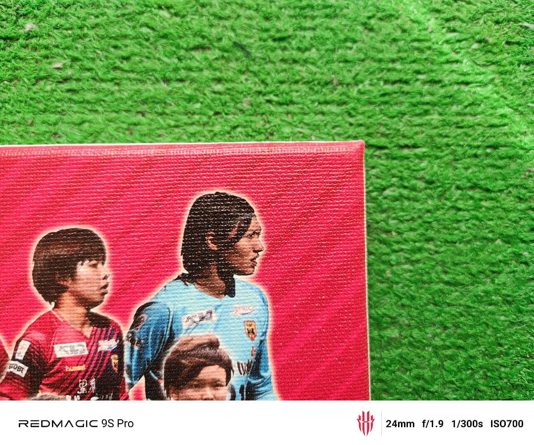 INAC 神戸 レオネッサ 2018 記念グッズ