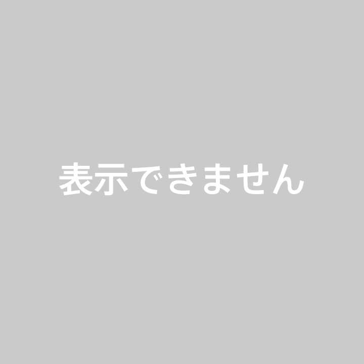 墓場の画廊 M1号製ラゴン(古谷敏直筆サインヘッダー付)