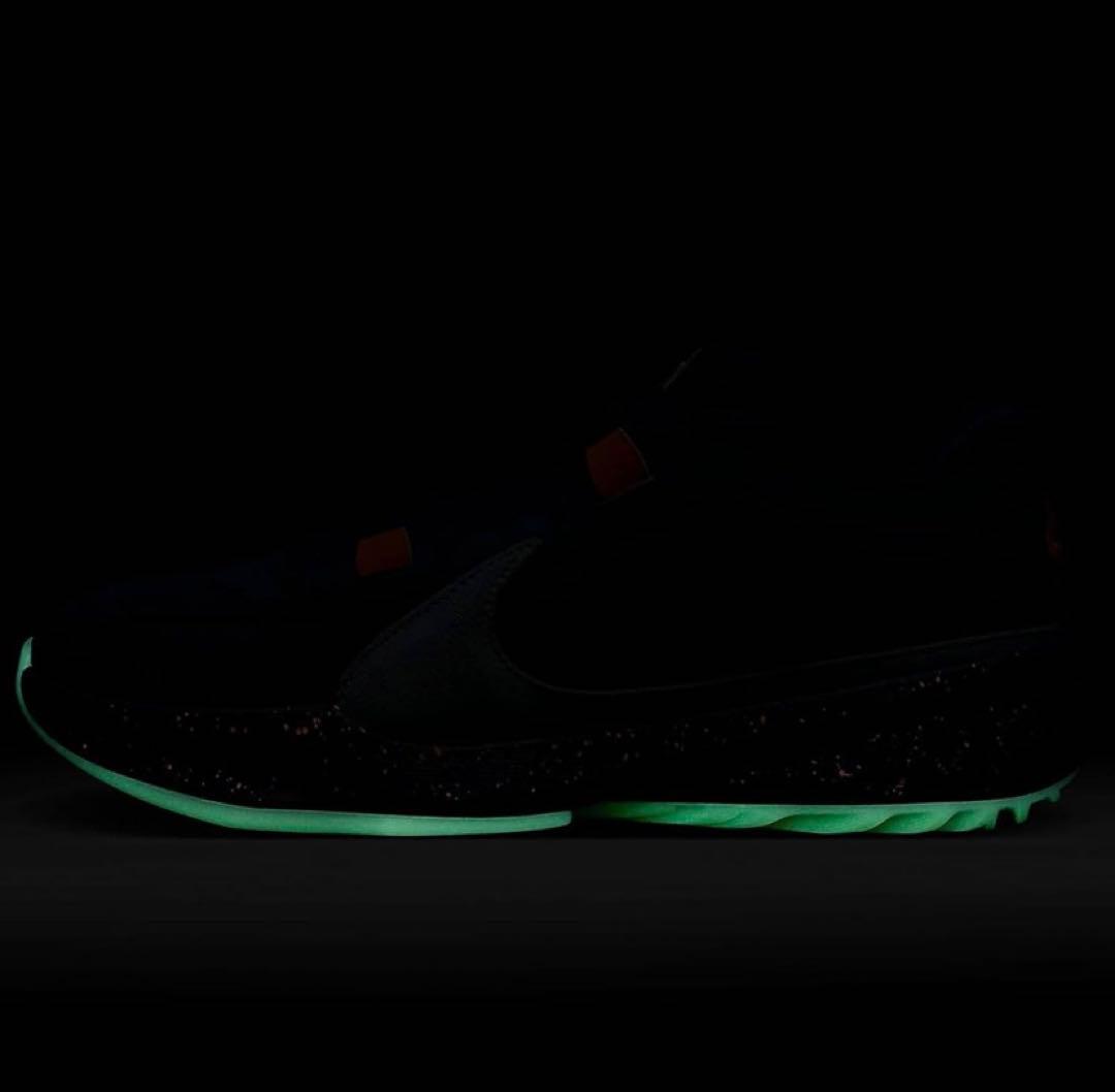 シューズ(男性用) NIKE ZOOM FREAK 5 EP 27.5 cm