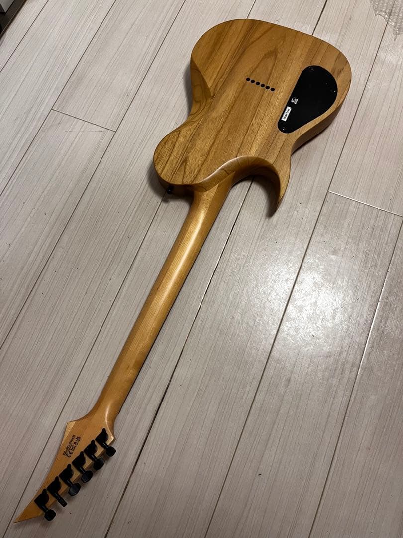 さ*く様 【最終価格】SOLAR GUITARS ソーラーギターズ T2.6