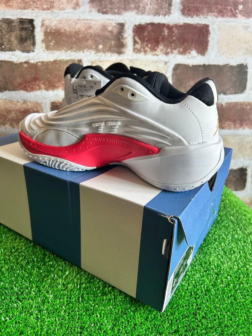 NIKE Jordan ルカ3 LUKA 23.0cm バッシュ　ジョーダン