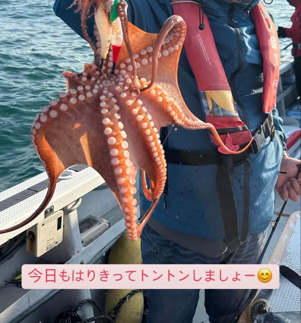タコマスター　フラッシュブーストイタリアンケイムラ　4個セット