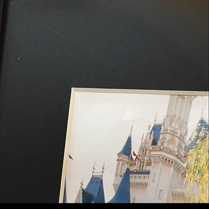 【新品未開封】TDL30周年 篠山紀信 ディズニー 額縁入り大判写真