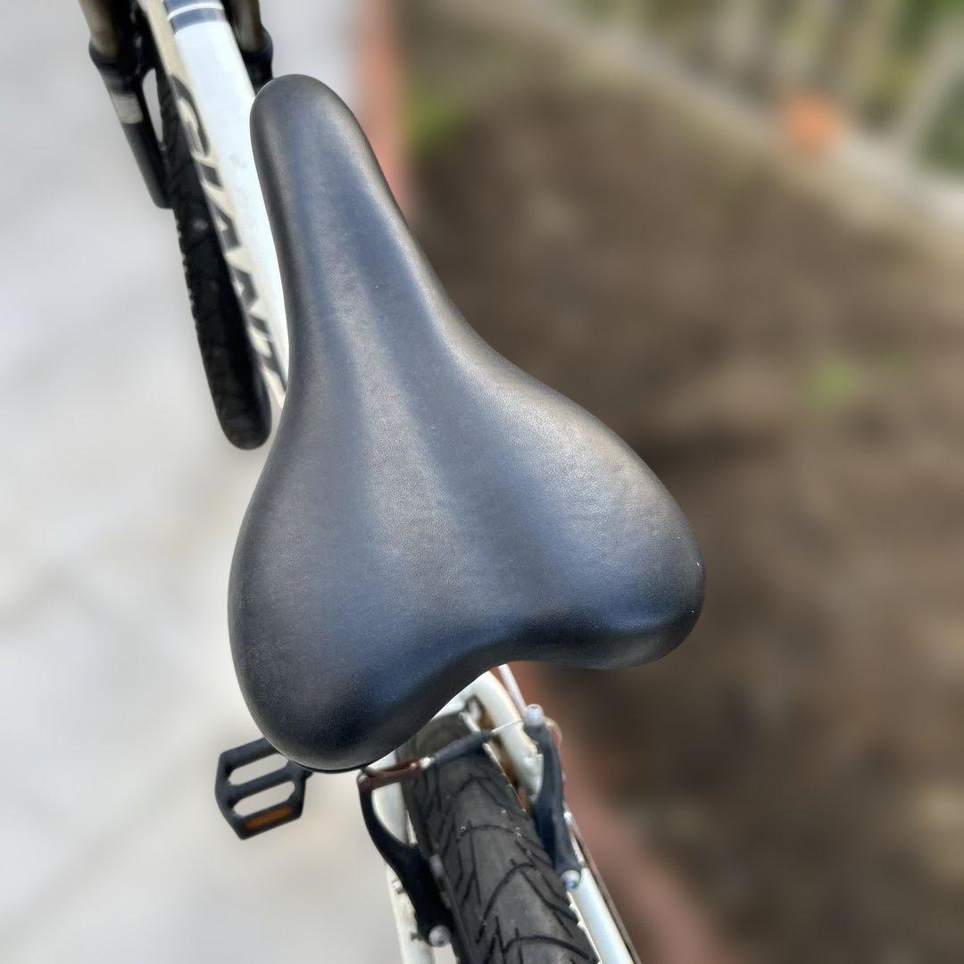 GIANT SNAP自転車