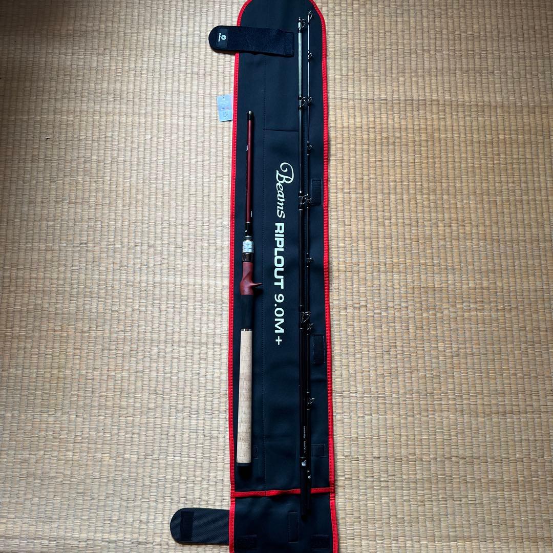 Fishman Beams RIPLOUT 9.0M＋　リプラウト