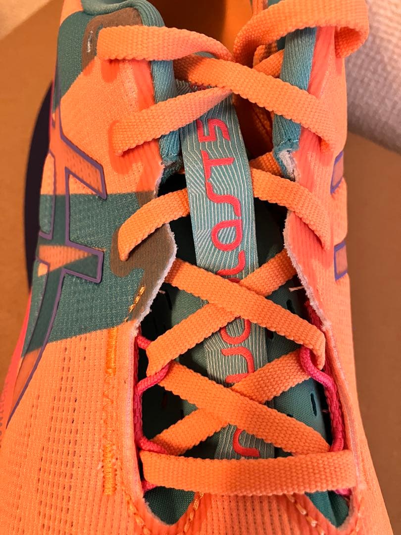 新品未着用 ASICS NOVABLAST5 28.0 ノヴァブラスト 2026