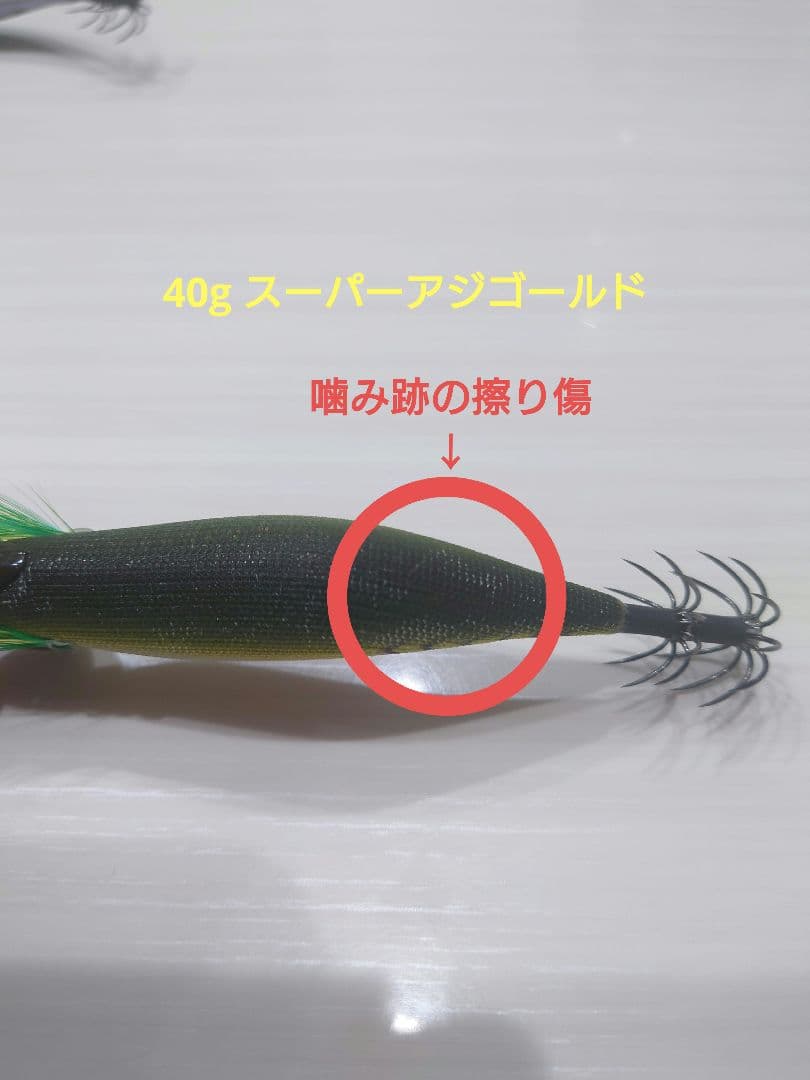 エギリー・ダートマックスTR 40g&30g 5本セット