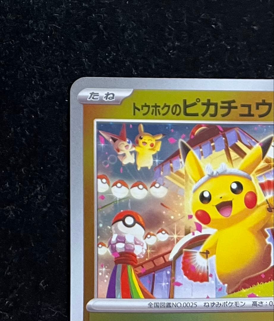 トウホクのピカチュウ ②