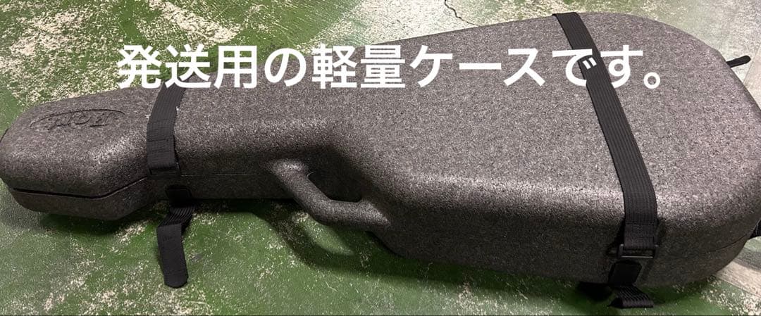 シーガル M6 スプルース　アコースティックギター