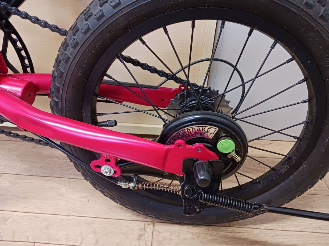 Eizer Mini Beast カスタム車両
