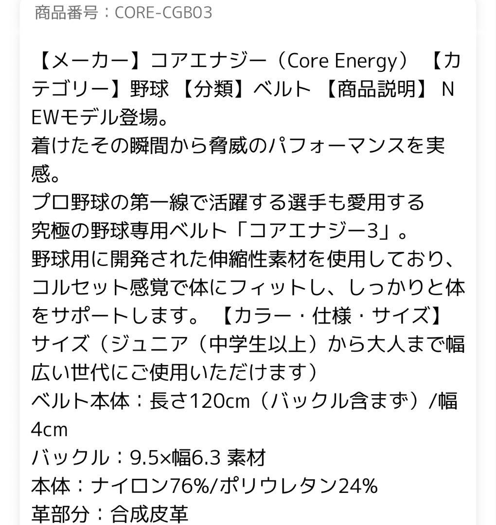 CoreEnergy ブラックベルト ゴールドバックル