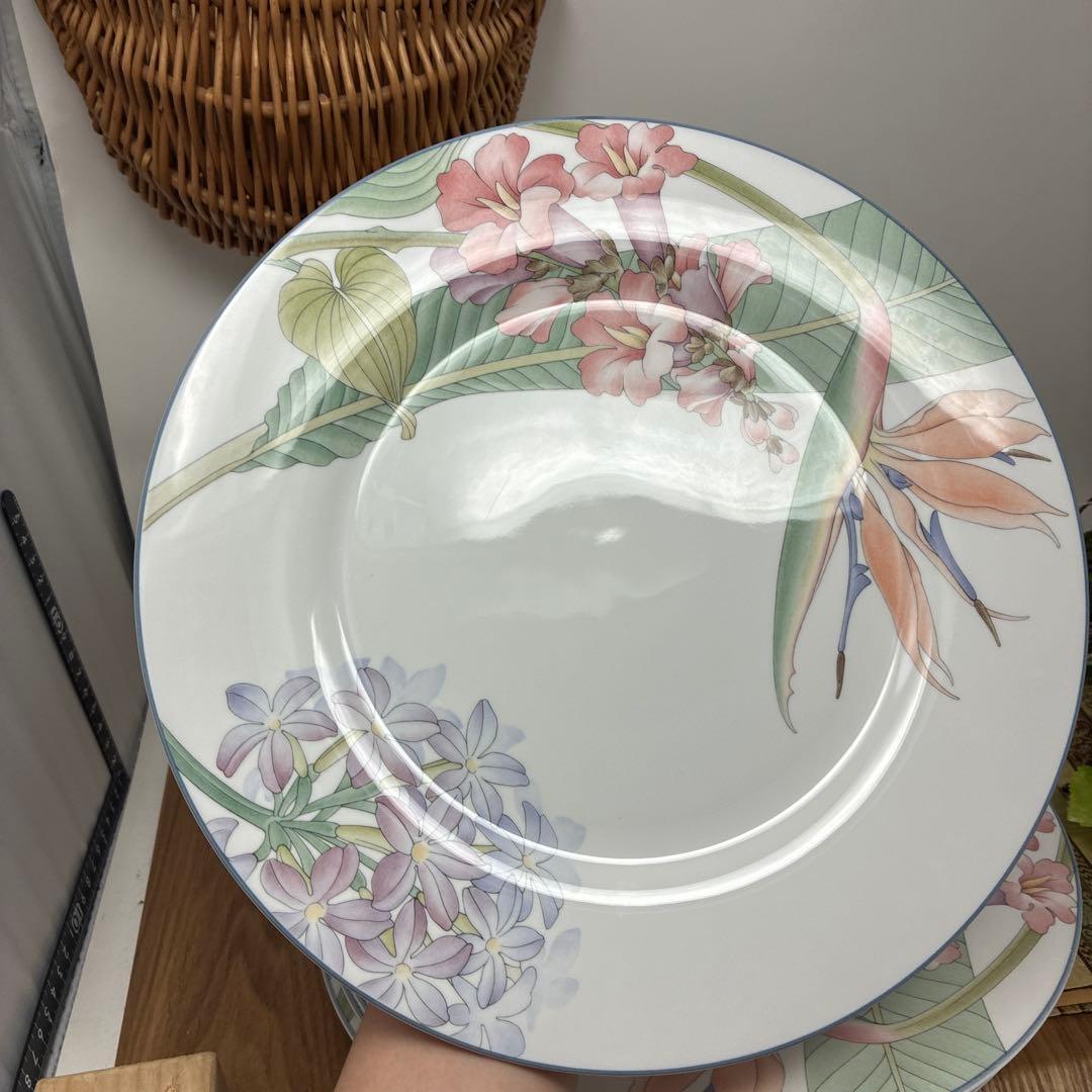 廃盤品　ノリタケ　パシフィックウィンズ　ディナープレート　５枚セット