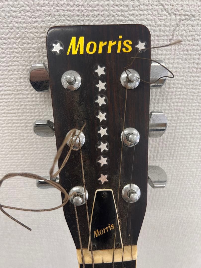 Morris W-20 アコースティックギター